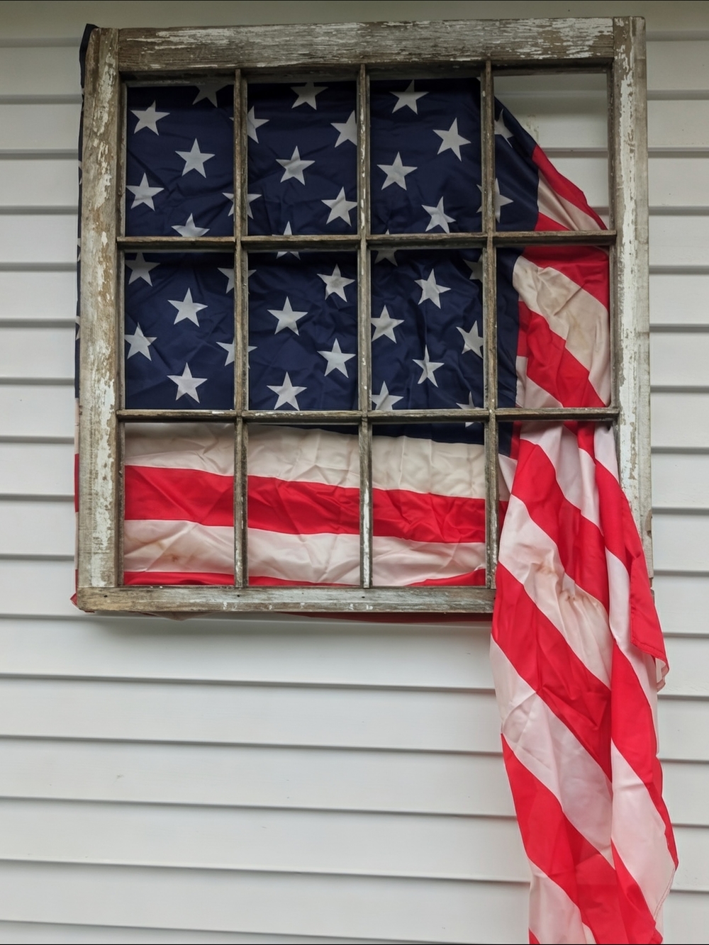e & Blue Flag Panel.
